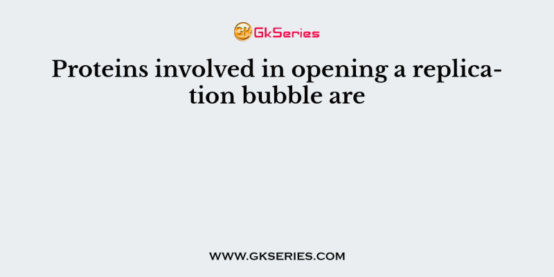 Proteins involved in opening a replication bubble are