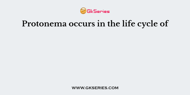 Protonema occurs in the life cycle of