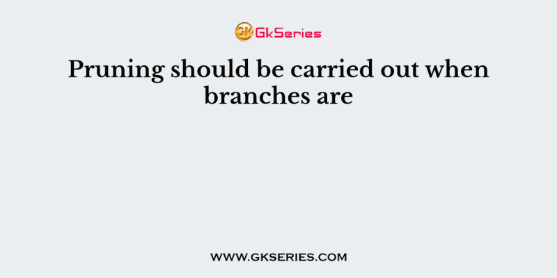 Pruning should be carried out when branches are