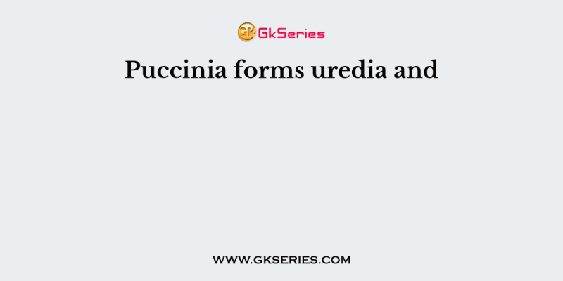 Puccinia forms uredia and