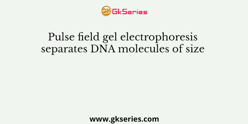 Pulse field gel electrophoresis separates DNA molecules of size