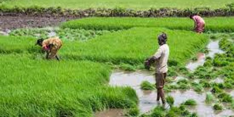 Punjab Kisan Credit Limit Scheme
