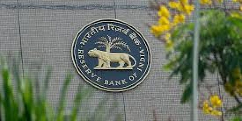 RBI’s Financial Stability Report June 2025