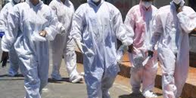 REC to provide nutritious meals to frontline healthcare workers