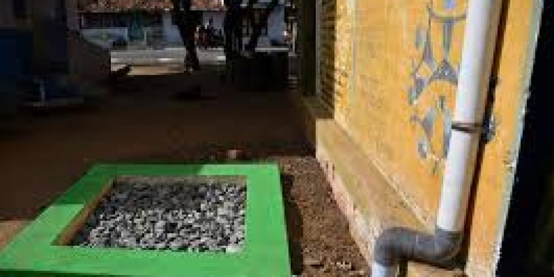 Recycling plants and rainwater harvesting