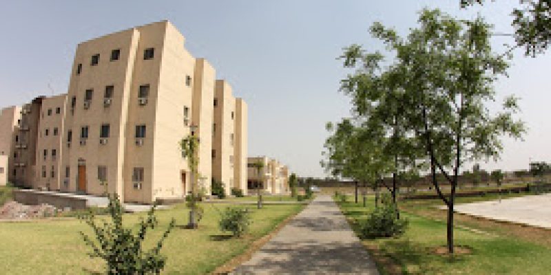 Raffles University, Neemrana