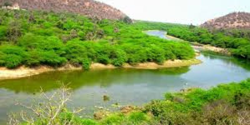 Ramgarh Vishdhari wildlife sanctuary to become the 4th Tiger reserve of Rajasthan