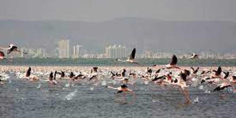 Ramsar sites: 11 more Indian wetlands have got Ramsar recognition