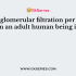 The amount of urine output per day by a normal human being is