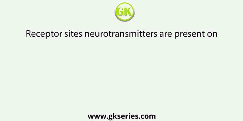 Receptor sites neurotransmitters are present on