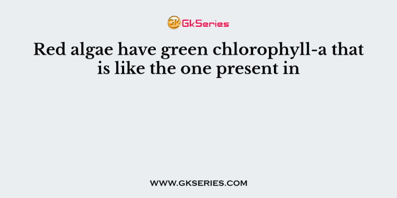 Red algae have green chlorophyll-a that is like the one present in