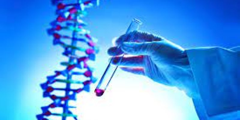 Reliance Life Sciences receives a gene therapy technology licence from IIT Kanpur