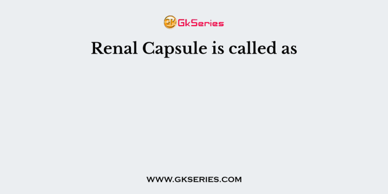 Renal Capsule is called as