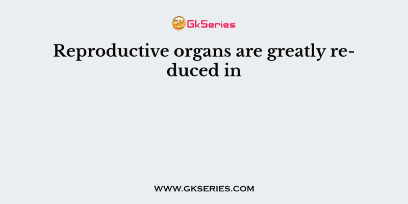 Reproductive organs are greatly reduced in