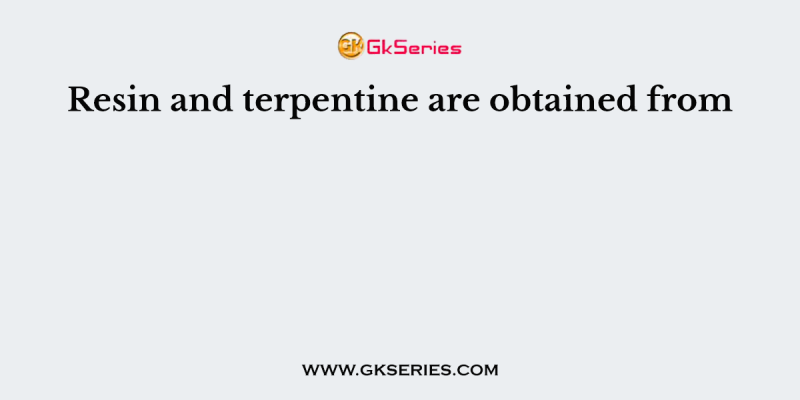 Resin and terpentine are obtained from