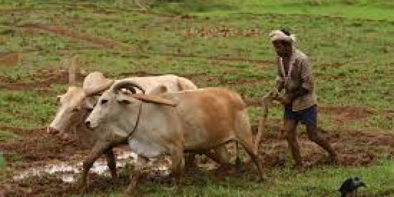 Resurrect of agricultural sector exports in the aftermath of COVID-19 crisis