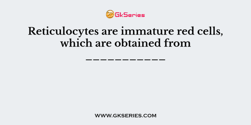 Reticulocytes are immature red cells, which are obtained from ___________