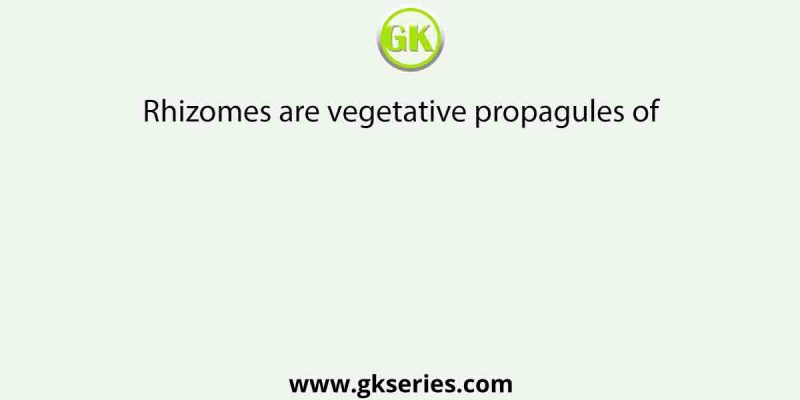 Rhizomes are vegetative propagules of
