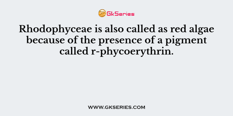Rhodophyceae is also called as red algae because of the presence of a pigment called r-phycoerythrin.