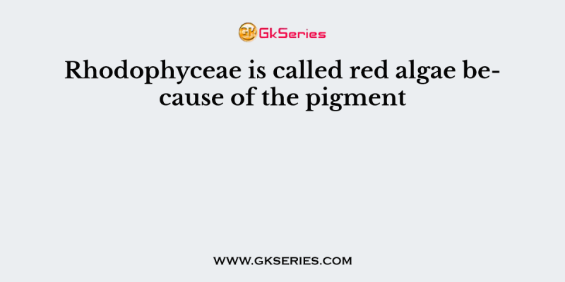 Rhodophyceae is called red algae because of the pigment