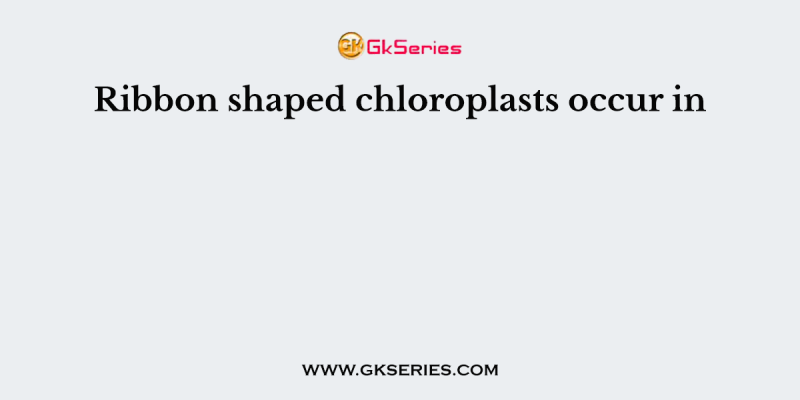 Ribbon shaped chloroplasts occur in