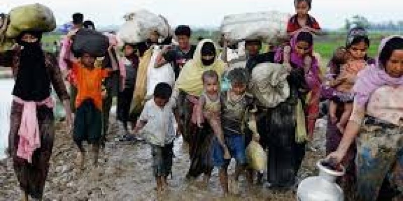 Rohingya Citizenship issue matter of domestic law of 1982