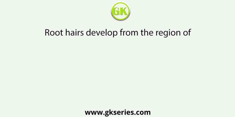 Root hairs develop from the region of