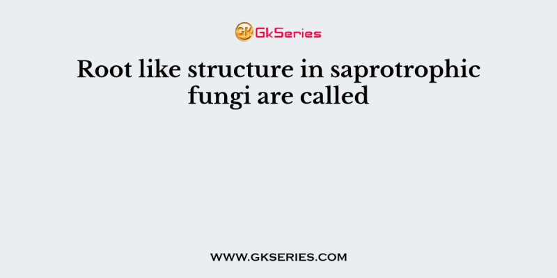 Root like structure in saprotrophic fungi are called