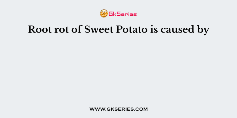 Root rot of Sweet Potato is caused by