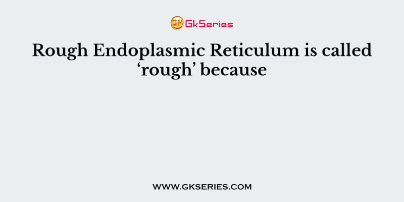 Rough Endoplasmic Reticulum is called ‘rough’ because