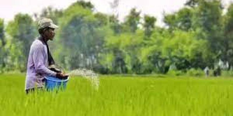 Russia Replaces China to Become the Biggest Supplier of Fertilizers to India