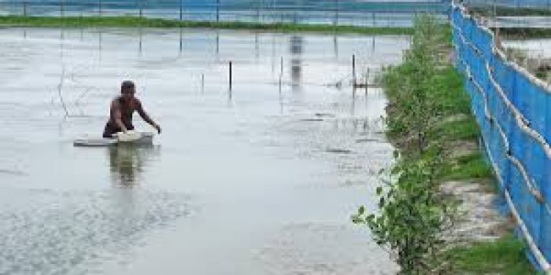 SAIME Aquaculture Model from Sundarbans Earns FAO Global Recognition