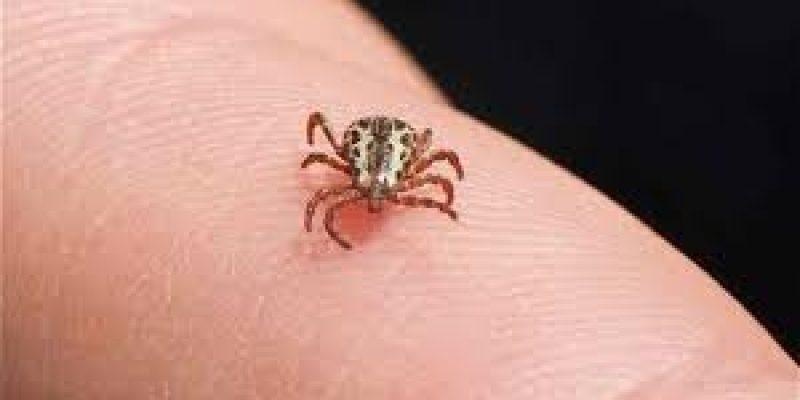 Severe Fever with Thrombocytopenia Syndrome in East China