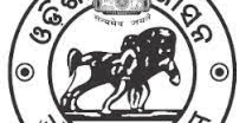 SSB Odisha  Recruitment 2021 for 972 Lecturer Vacancy