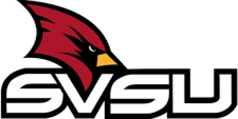 SVSU Recruitment 2020 for 33 Skill Instructor & Foreman Vacancy