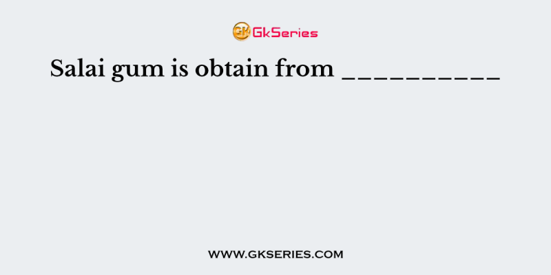 Salai gum is obtain from __________