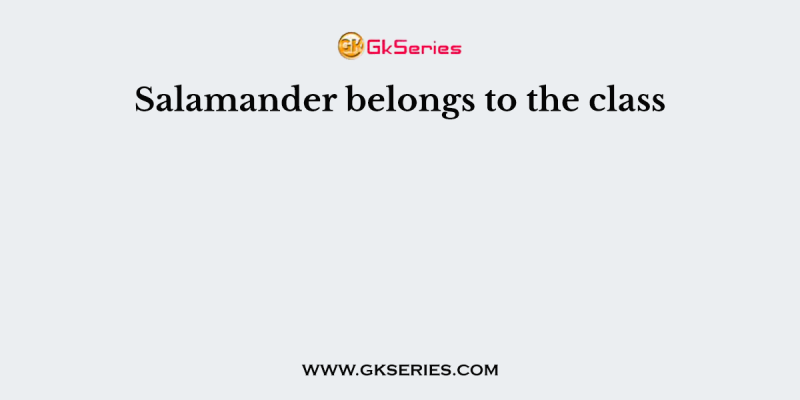 Salamander belongs to the class
