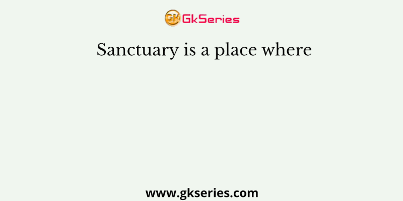 Sanctuary is a place where