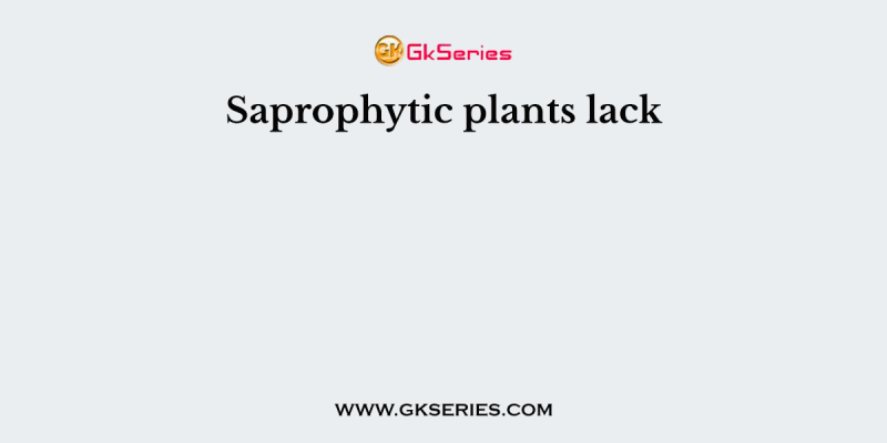 Saprophytic plants lack