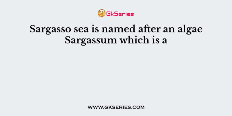 Sargasso sea is named after an algae Sargassum which is a