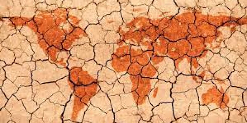 Saudi Arabia Launches AI-Powered Program to Combat Desertification