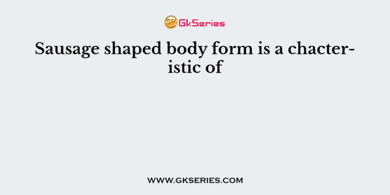 Sausage shaped body form is a chacteristic of