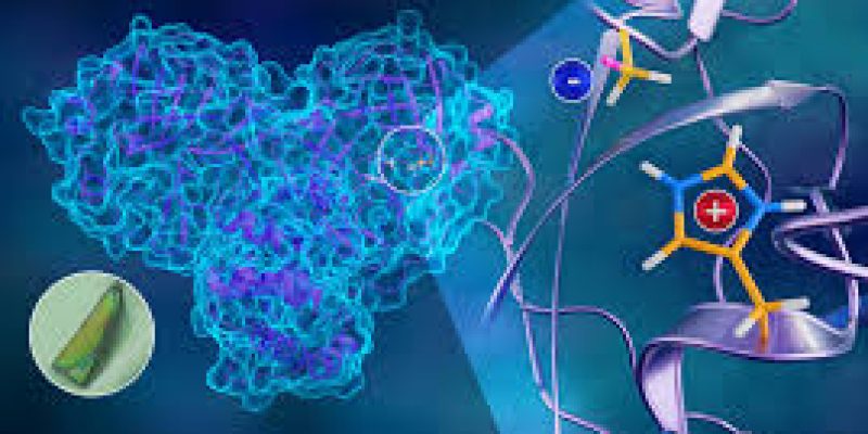 Scientists developed 3D atomic map of novel coronavirus replication mechanism