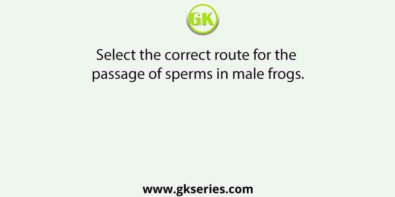 Select the correct route for the passage of sperms in male frogs.