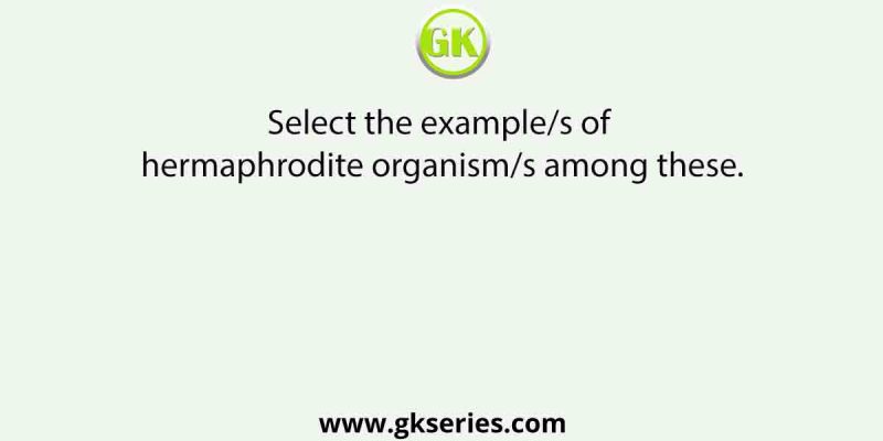 Select the example/s of hermaphrodite organism/s among these.
