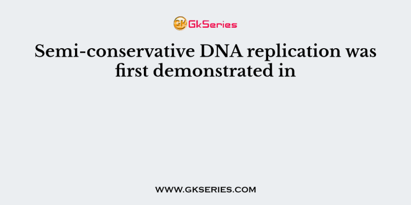 Semi-conservative DNA replication was first demonstrated in