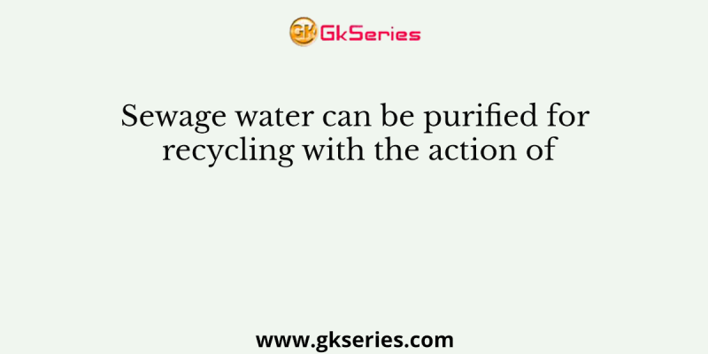 Sewage water can be purified for recycling with the action of
