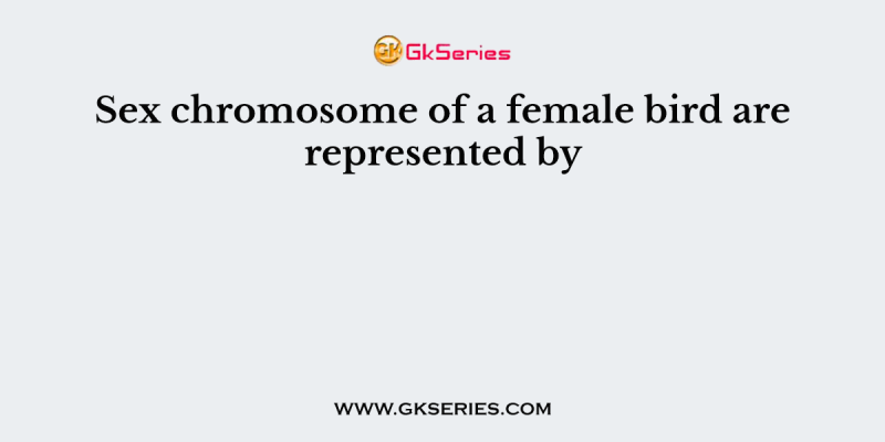 Sex chromosome of a female bird are represented by