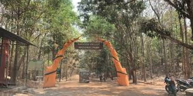 Significant discovery of new spider cricket from Chhattisgarh