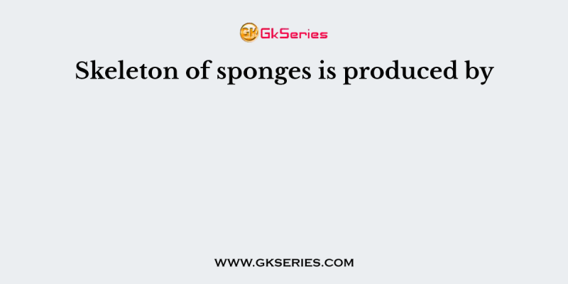 Skeleton of sponges is produced by